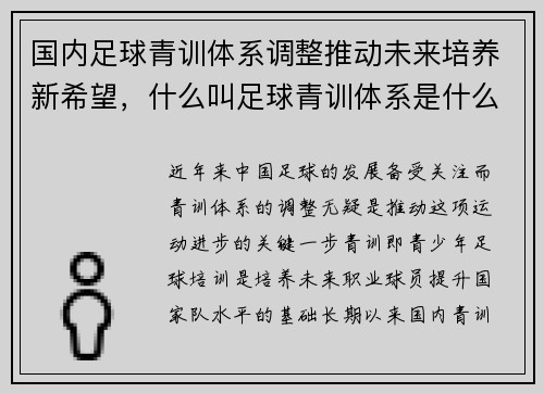 国内足球青训体系调整推动未来培养新希望，什么叫足球青训体系是什么