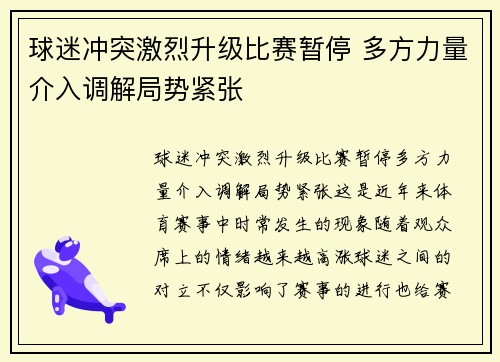 球迷冲突激烈升级比赛暂停 多方力量介入调解局势紧张